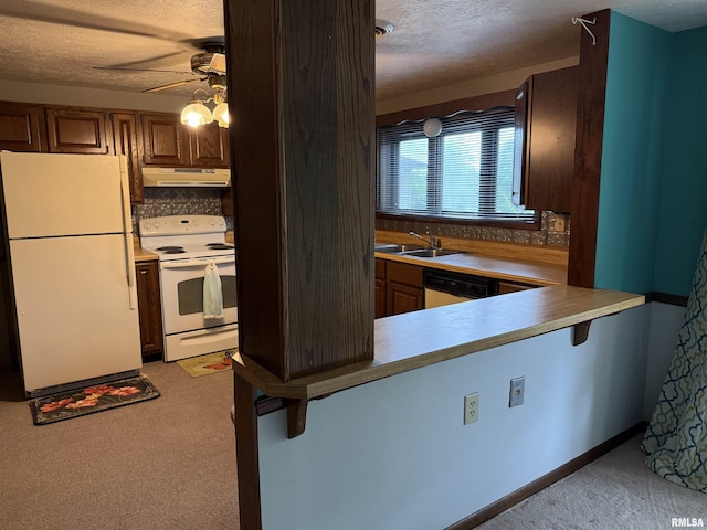 15 Dunn Ln, Goreville, IL 62939 - kitchen featuring white appliances, a sink, under cabinet range hood, light colored carpet, and a textured ceiling