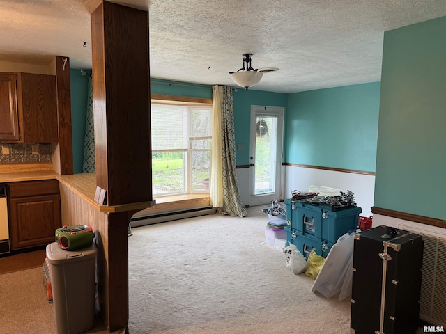 15 Dunn Ln, Goreville, IL 62939 - rec room with baseboard heating, a textured ceiling, carpet flooring, and a wainscoted wall
