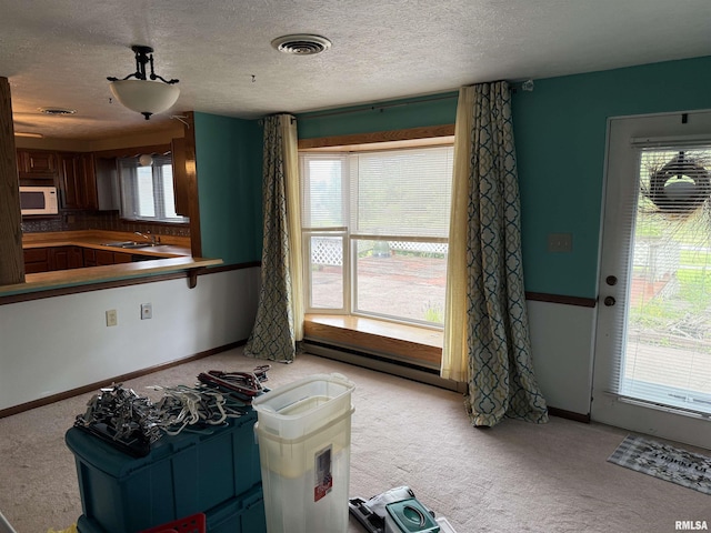 15 Dunn Ln, Goreville, IL 62939 - unfurnished living room featuring light carpet, a sink, and a textured ceiling