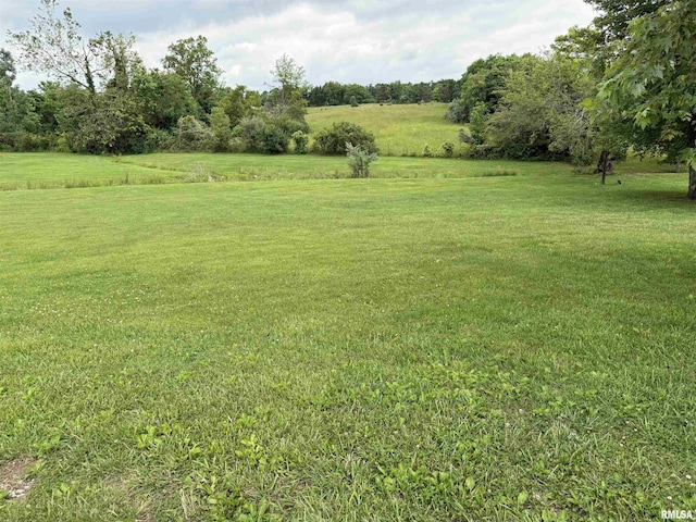 15 Dunn Ln, Goreville, IL 62939 - view of grassy yard featuring a rural view