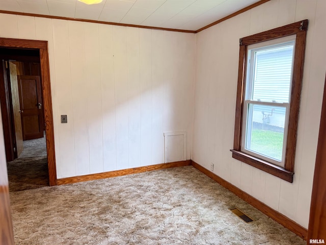 101 Nile St, Anna, IL 62906 - empty room with crown molding, carpet floors, and baseboards