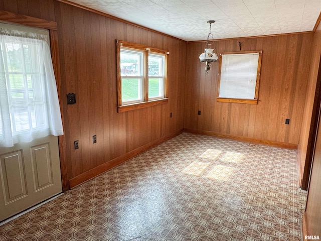 101 Nile St, Anna, IL 62906 - unfurnished dining area featuring wooden walls and baseboards