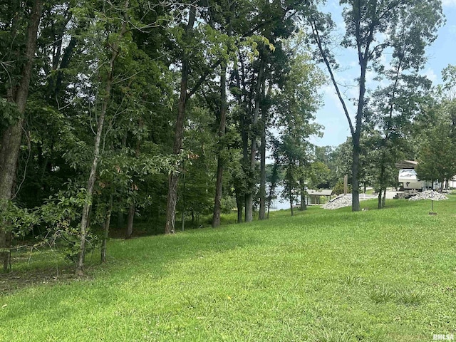 3287 Cumberland Rd, Centralia, IL 62801 - photo 7