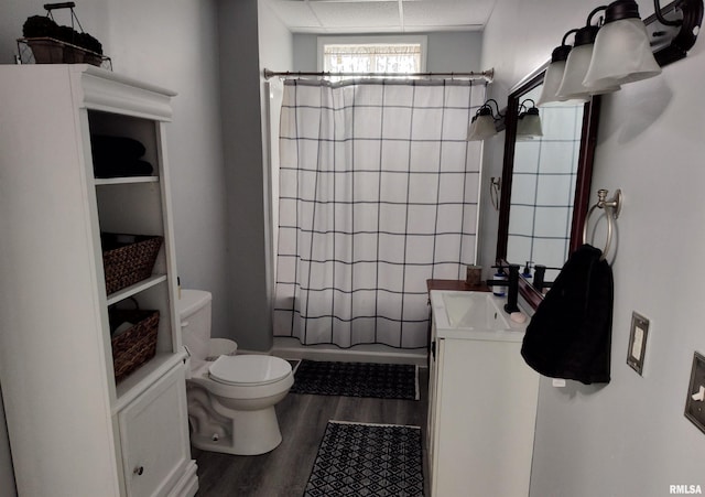 704 S Washington St, Mcleansboro, IL 62859 - bathroom featuring vanity, toilet, wood finished floors, and a shower with shower curtain
