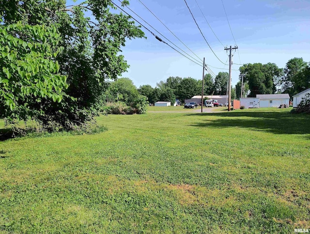 704 S Washington St, Mcleansboro, IL 62859 - view of green lawn