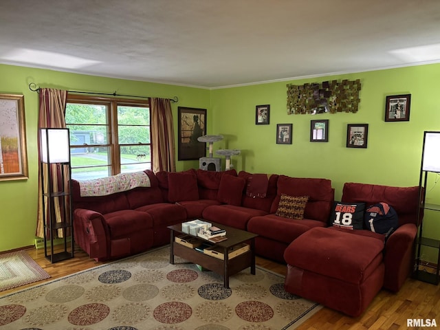 507 S Dixon Ave, Carbondale, IL 62901 - photo 14