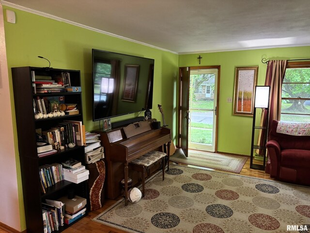 507 S Dixon Ave, Carbondale, IL 62901 - photo 15