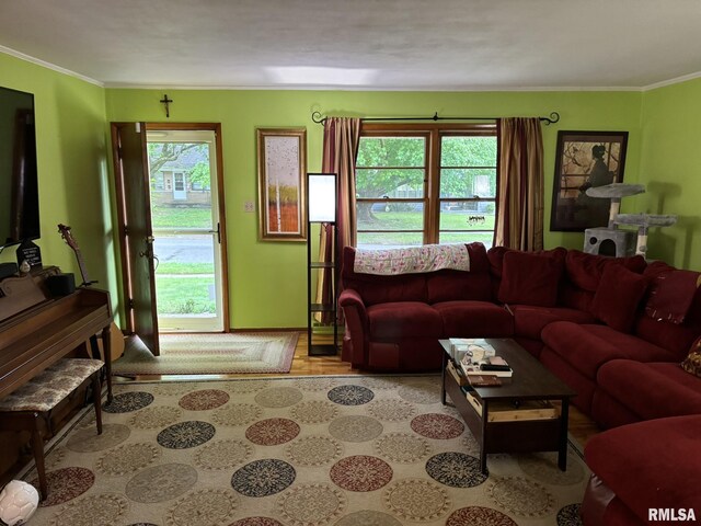 507 S Dixon Ave, Carbondale, IL 62901 - photo 16
