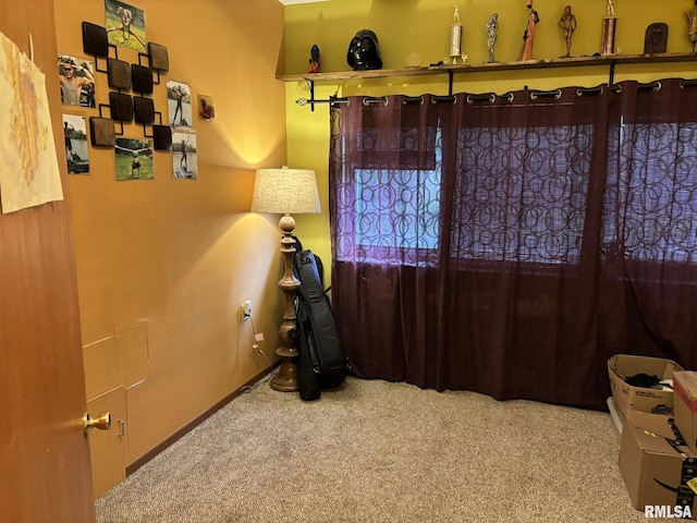 507 S Dixon Ave, Carbondale, IL 62901 - photo 28