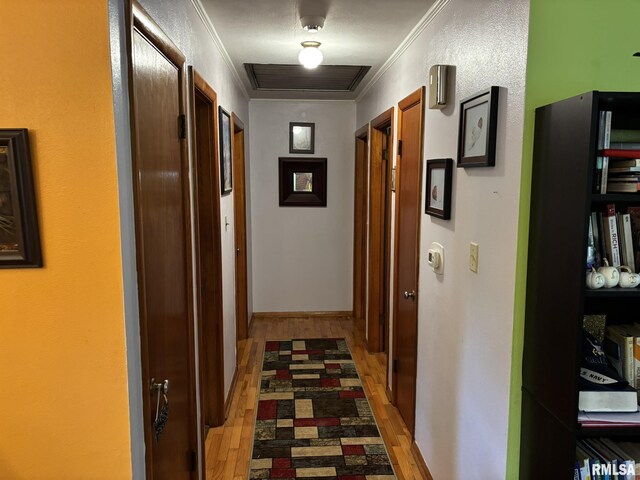 507 S Dixon Ave, Carbondale, IL 62901 - photo 30