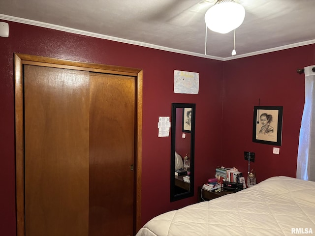 507 S Dixon Ave, Carbondale, IL 62901 - photo 39
