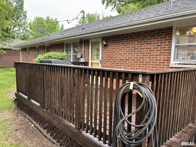 507 S Dixon Ave, Carbondale, IL 62901 - photo 6