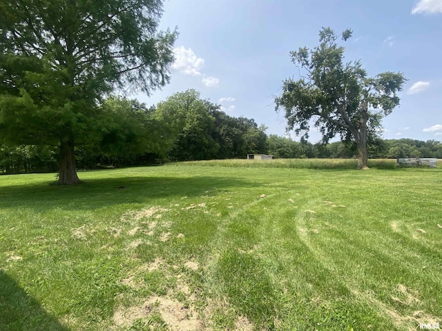 22545 Thompsonville Lake Rd, Thompsonville, IL 62890 - photo 21