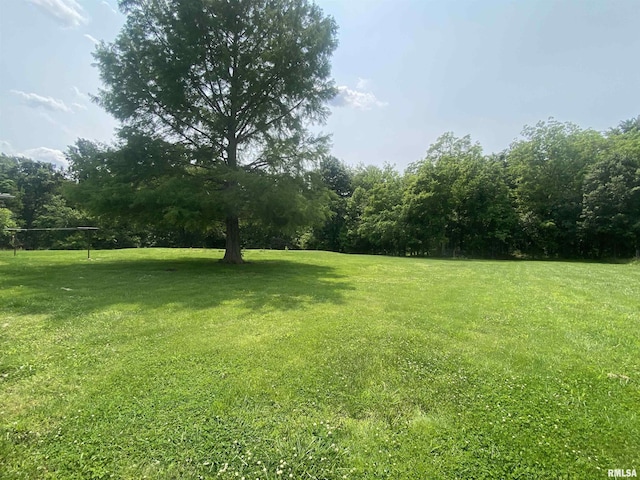 22545 Thompsonville Lake Rd, Thompsonville, IL 62890 - photo 24