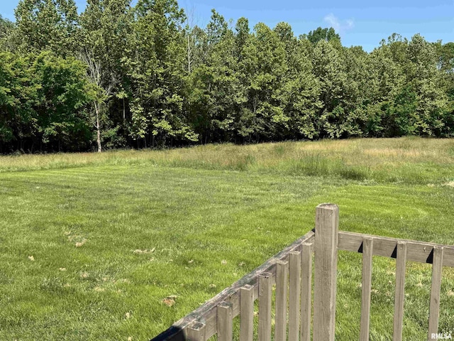 3685 Lick Creek Rd, Anna, IL 62906 - view of green lawn