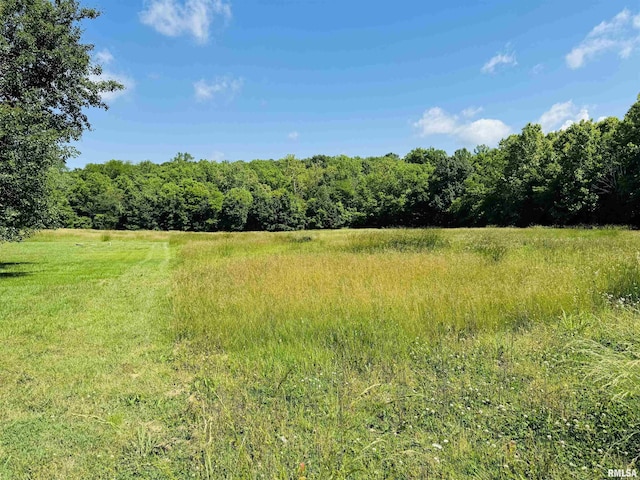 3685 Lick Creek Rd, Anna, IL 62906 - view of woods featuring a rural view