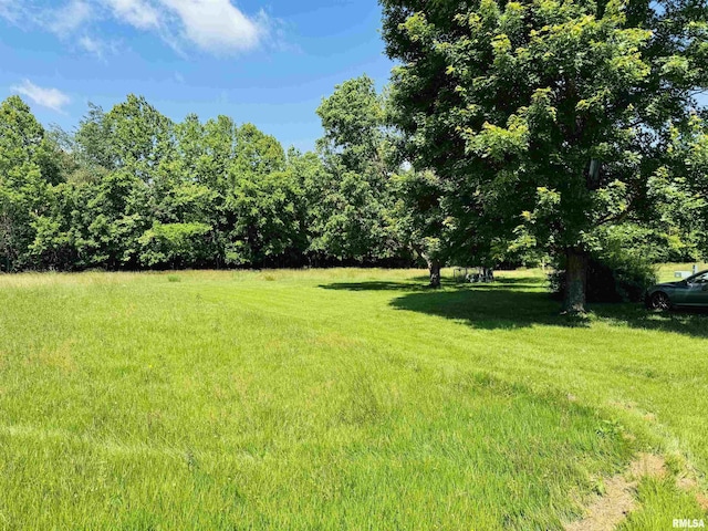 3685 Lick Creek Rd, Anna, IL 62906 - view of grassy yard