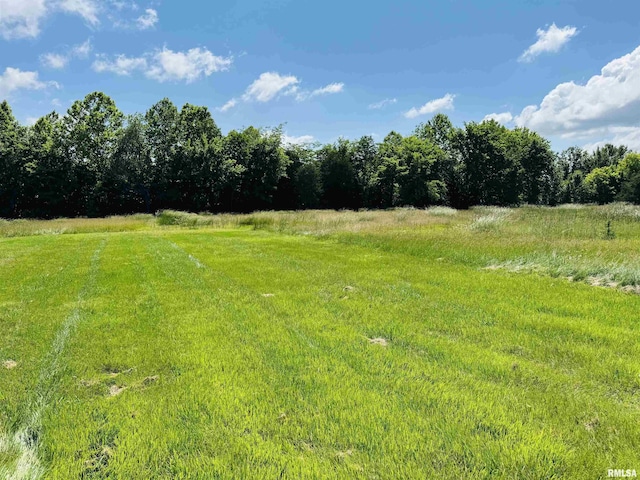 3685 Lick Creek Rd, Anna, IL 62906 - view of yard with a rural view