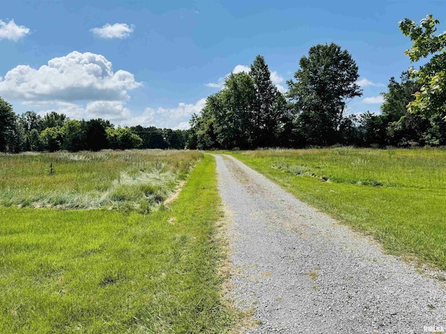 3685 Lick Creek Rd, Anna, IL 62906 - view of dirt / gravel road featuring a rural view