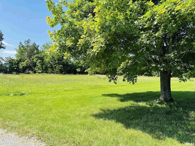 3685 Lick Creek Rd, Anna, IL 62906 - view of grassy yard