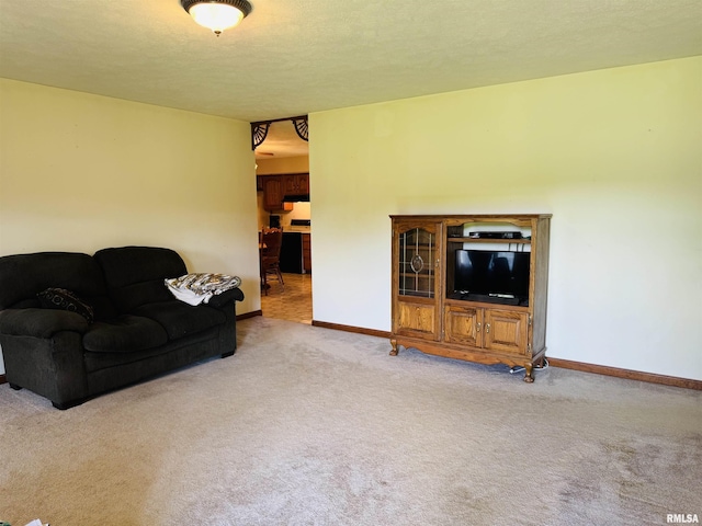 3685 Lick Creek Rd, Anna, IL 62906 - carpeted living room featuring baseboards