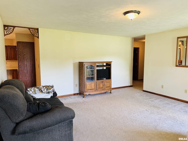 3685 Lick Creek Rd, Anna, IL 62906 - living area with baseboards and light carpet