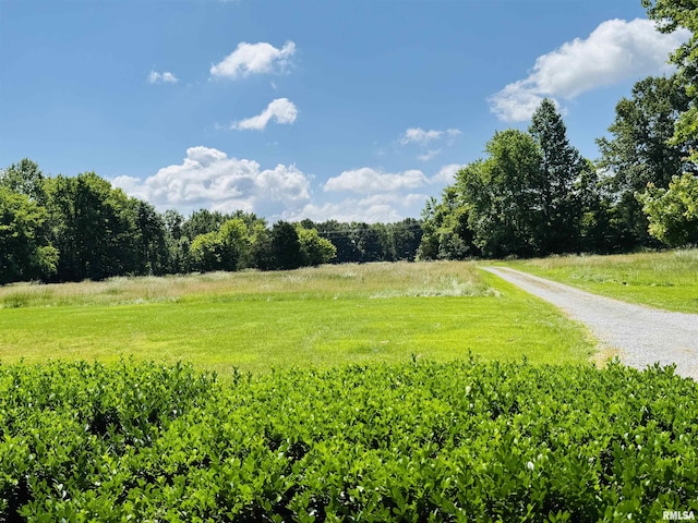 3685 Lick Creek Rd, Anna, IL 62906 - view of yard with a rural view