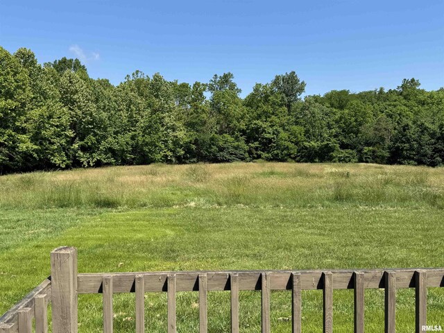 3685 Lick Creek Rd, Anna, IL 62906 - view of yard featuring a forest view