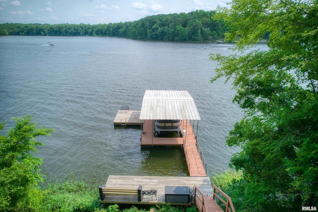 1150 Lakeview Dr, Creal Springs, IL 62922 - dock featuring a water view and a view of trees