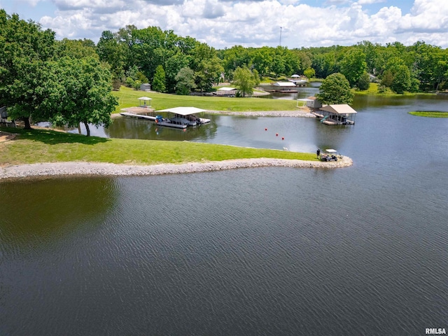 12897 Egypt Shores Dr, Creal Springs, IL 62922 - water view