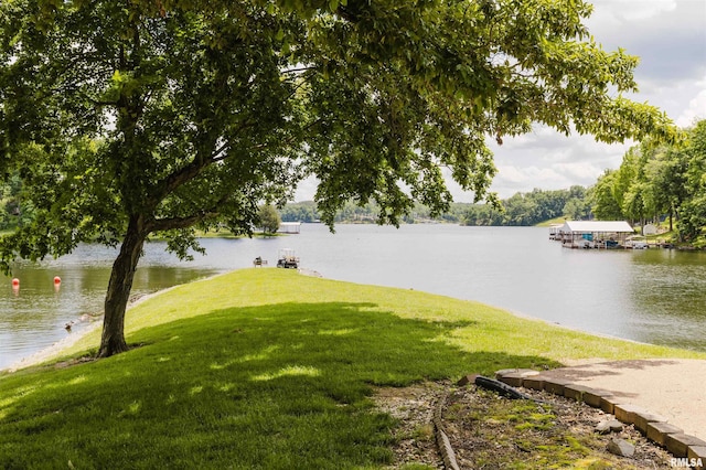 12897 Egypt Shores Dr, Creal Springs, IL 62922 - water view