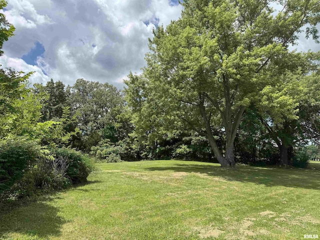 6984 Washington St, Mulkeytown, IL 62865 - view of grassy yard