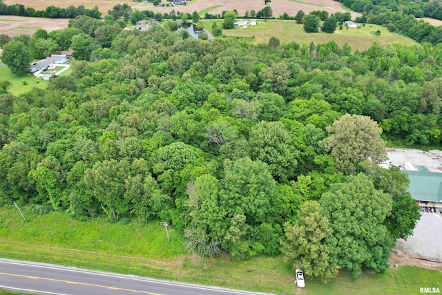 6251 S US-45 Rd, Brookport, IL 62910