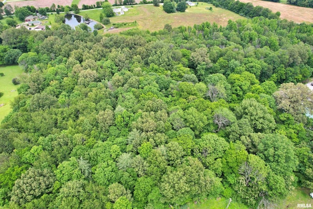 6251 S US-45 Rd, Brookport, IL 62910