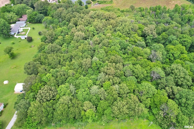 6251 S US-45 Rd, Brookport, IL 62910