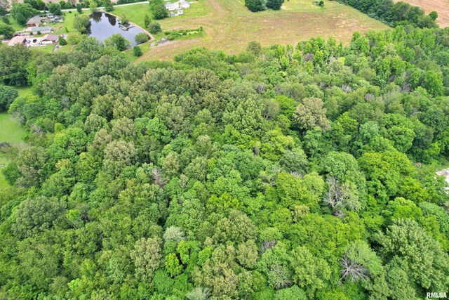 6251 S US-45 Rd, Brookport, IL 62910