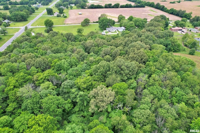 6251 S US-45 Rd, Brookport, IL 62910