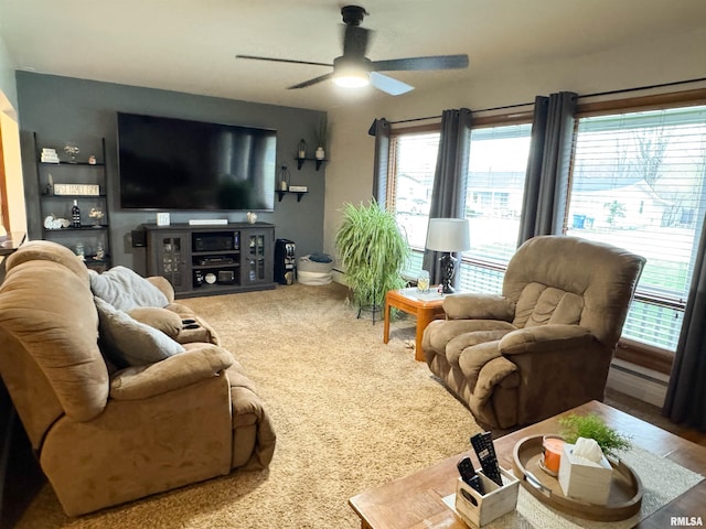 310 Williford Rd, Jonesboro, IL 62952 - living area featuring ceiling fan and carpet floors