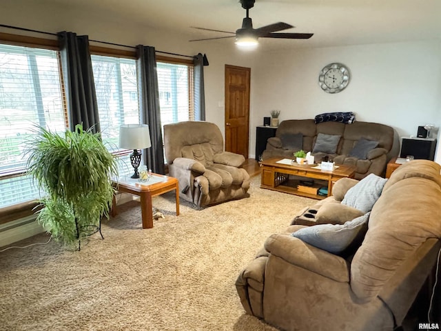 310 Williford Rd, Jonesboro, IL 62952 - living area with ceiling fan