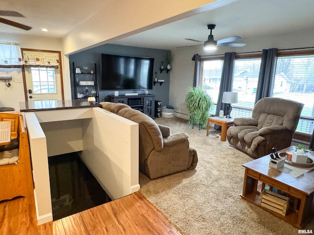 310 Williford Rd, Jonesboro, IL 62952 - living area with ceiling fan and wood finished floors