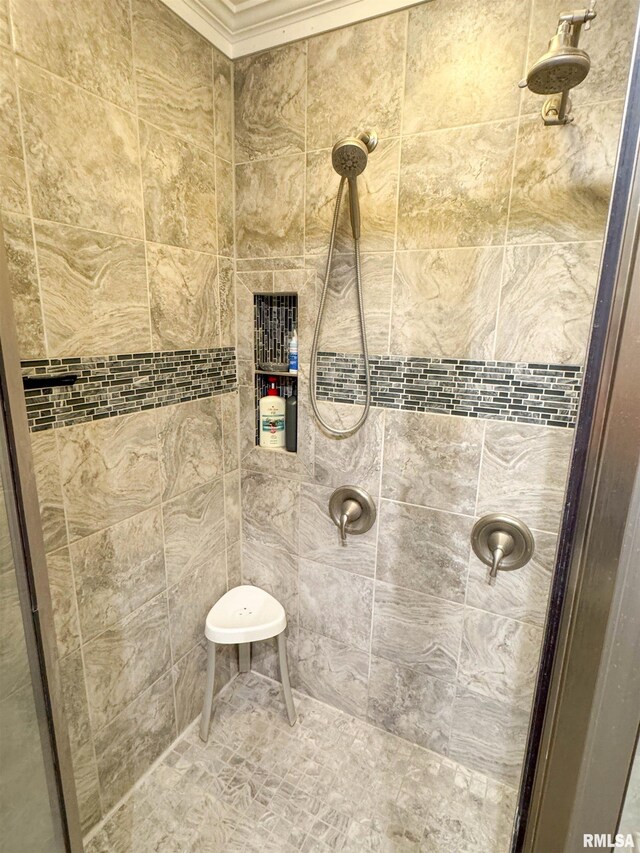 310 Williford Rd, Jonesboro, IL 62952 - full bathroom with a tile shower