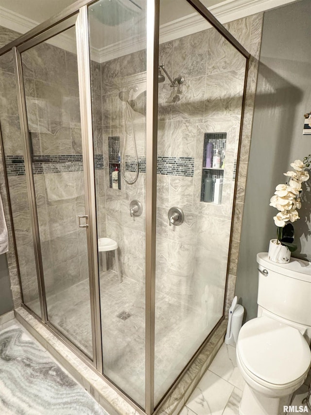 310 Williford Rd, Jonesboro, IL 62952 - bathroom featuring toilet, marble look tiles, and a shower stall