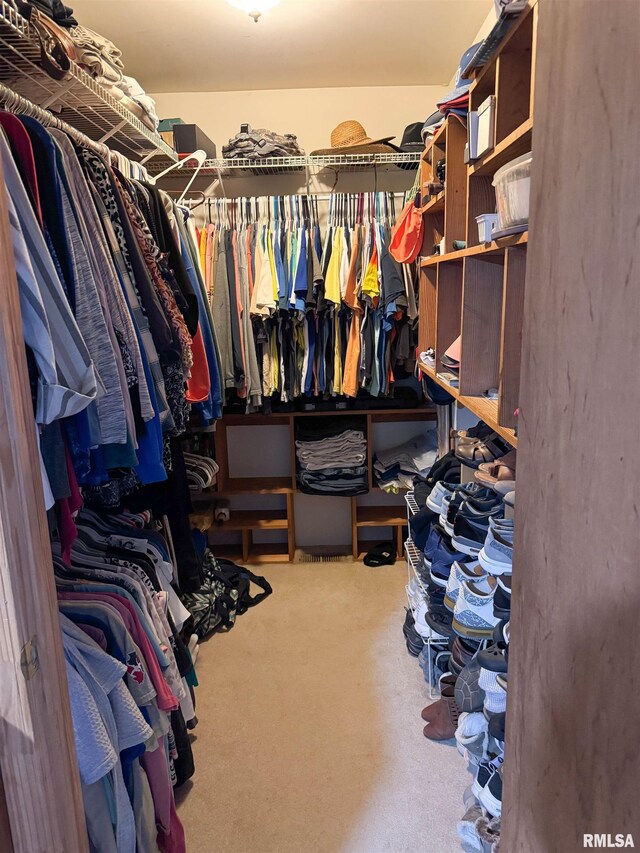 310 Williford Rd, Jonesboro, IL 62952 - view of spacious closet