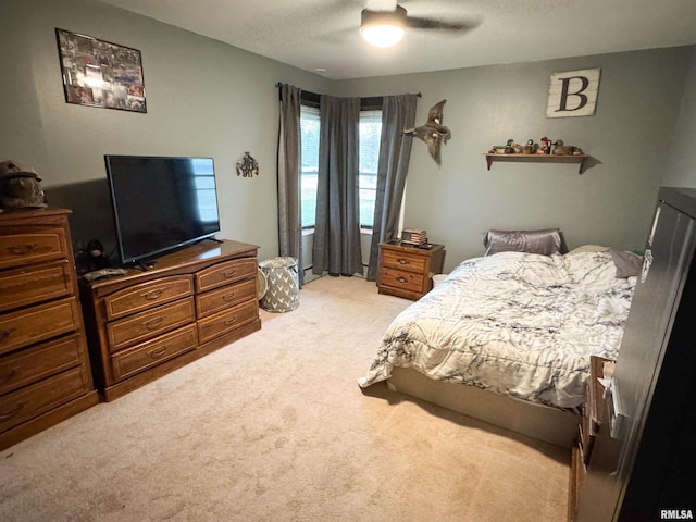 310 Williford Rd, Jonesboro, IL 62952 - bedroom with light carpet and ceiling fan