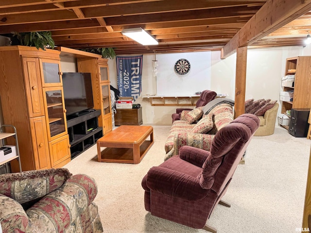 310 Williford Rd, Jonesboro, IL 62952 - living room featuring carpet