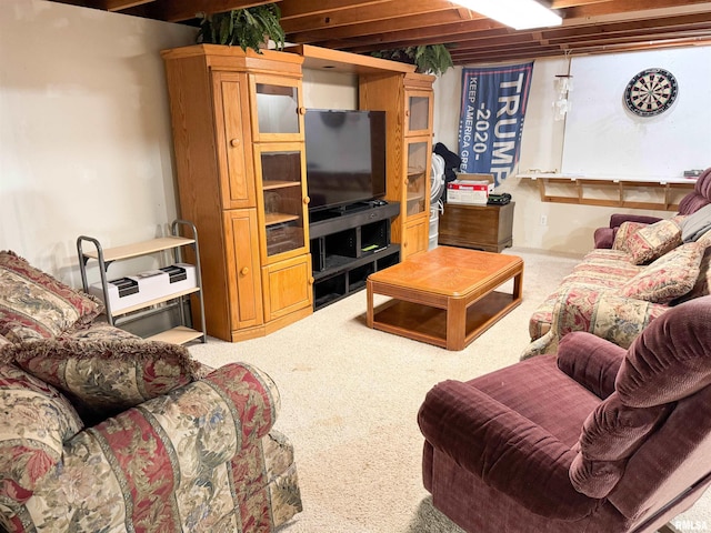 310 Williford Rd, Jonesboro, IL 62952 - view of carpeted living area