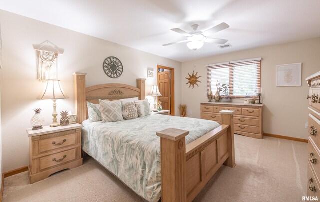 13642 Saint Rose Rd, Highland, IL 62249 - photo 48