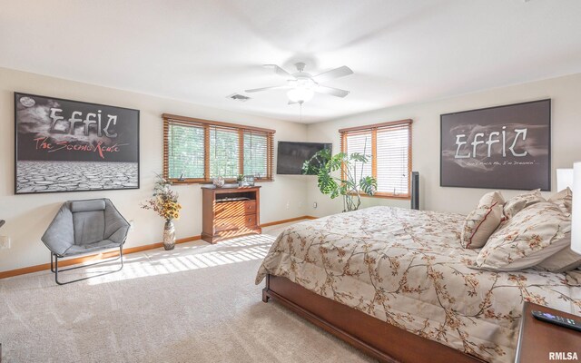 13642 Saint Rose Rd, Highland, IL 62249 - photo 56