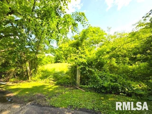 0000 N Maysville Ln, Mount Vernon, IL 62864 - photo 11