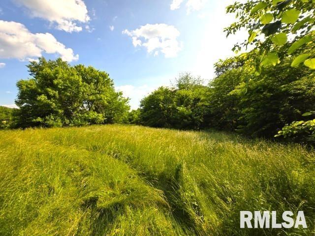 0000 N Maysville Ln, Mount Vernon, IL 62864 - photo 12